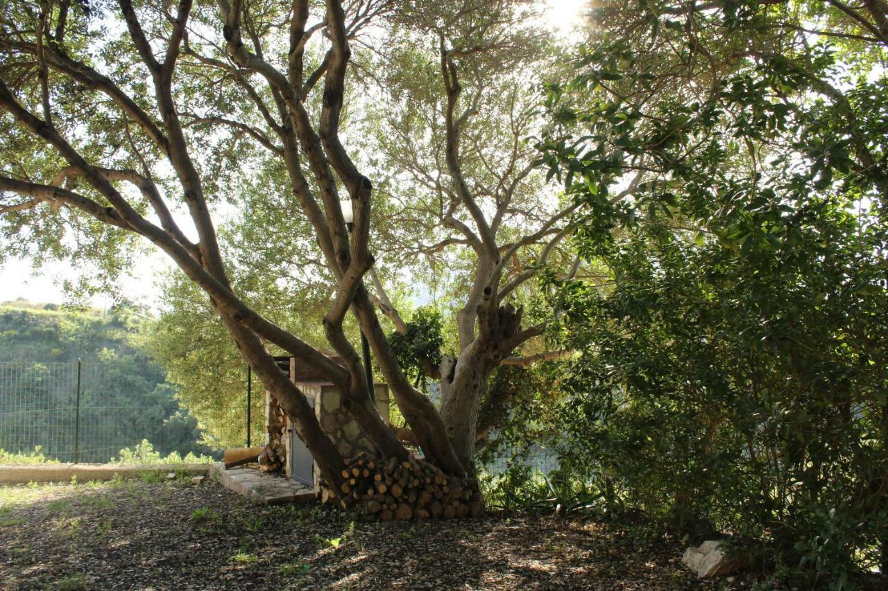 Rustici L'Antico Torchio Villa Castellammare del Golfo Buitenkant foto