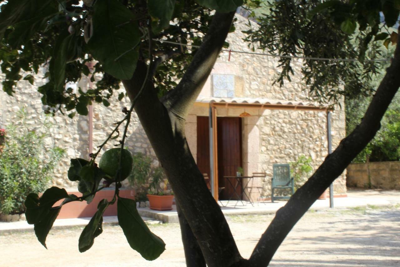 Rustici L'Antico Torchio Villa Castellammare del Golfo Buitenkant foto